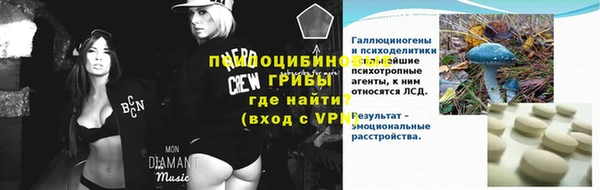 гидропоника Горняк