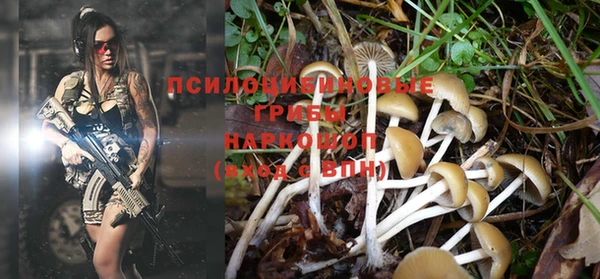 гидропоника Горняк