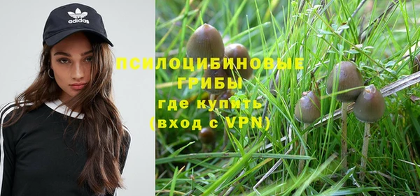 гидропоника Горняк