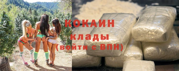 гидропоника Горняк