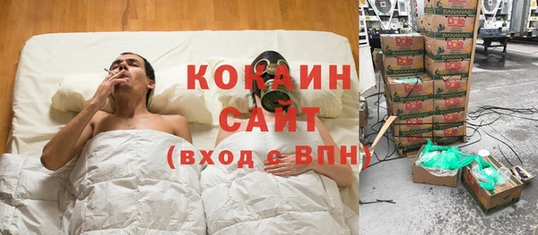 2c-b Горно-Алтайск