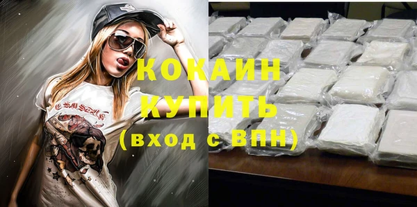 гидропоника Горняк