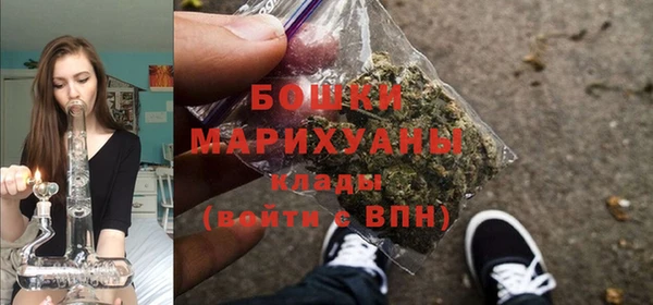 гидропоника Горняк