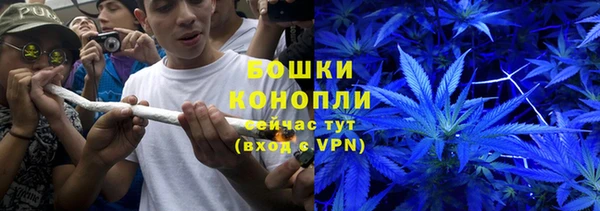 2c-b Горно-Алтайск