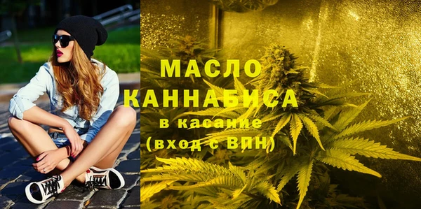 2c-b Горно-Алтайск