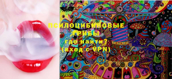 ГАЛЛЮЦИНОГЕННЫЕ ГРИБЫ Горнозаводск