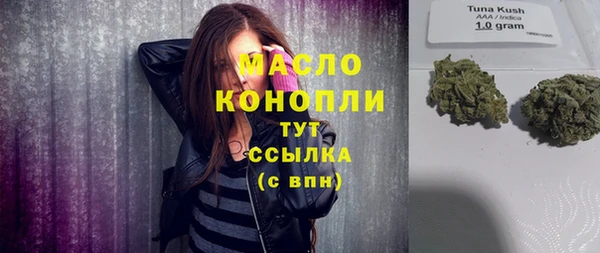 гидропоника Горняк