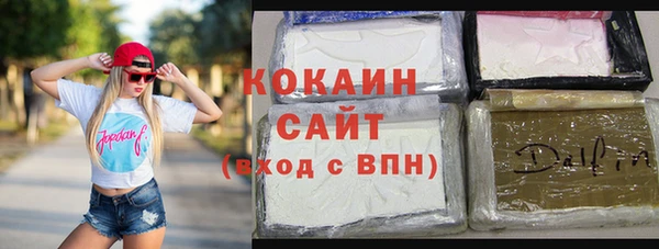 2c-b Горно-Алтайск